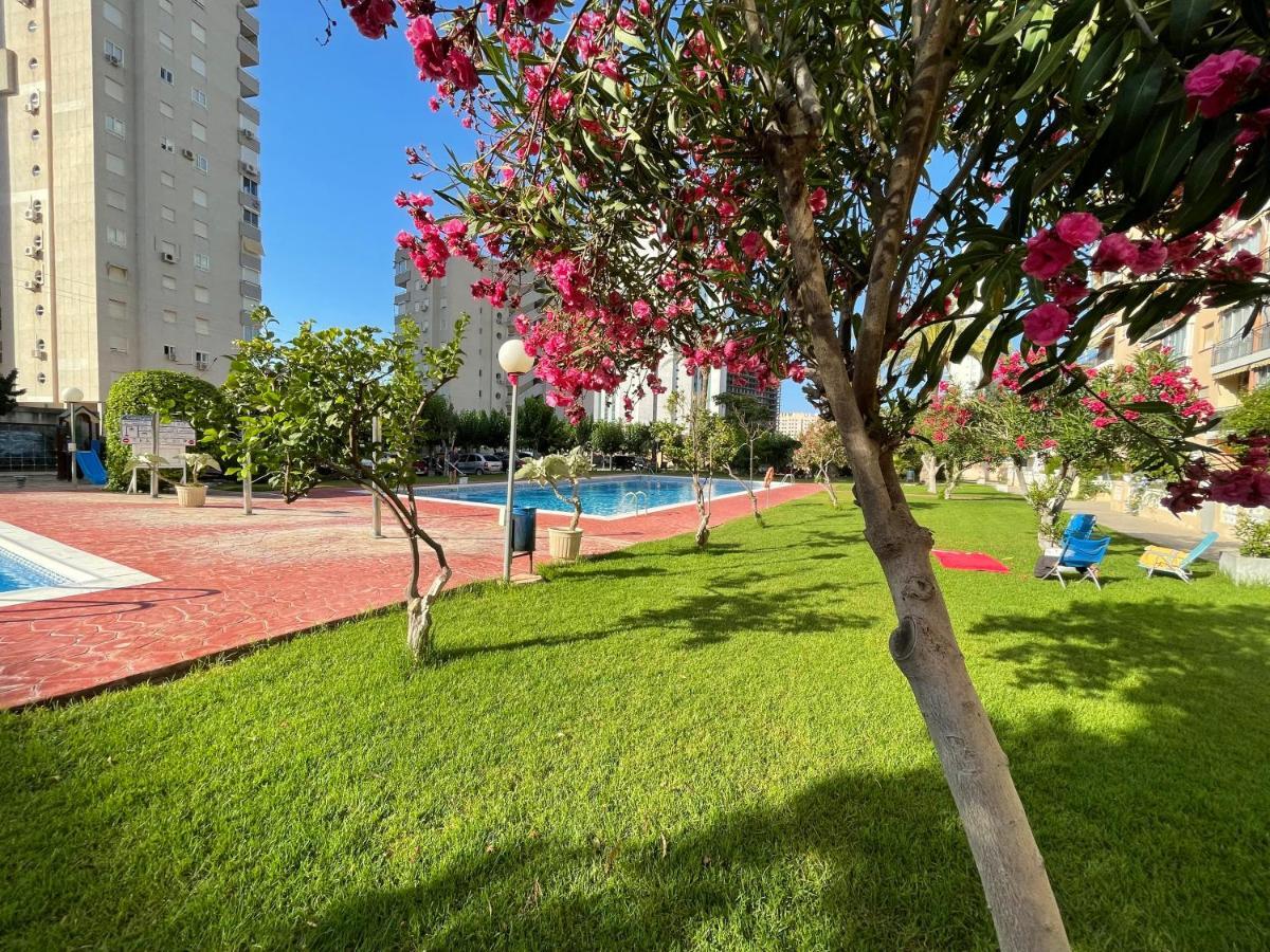 Beach Studio Apartment Hannibal La Cala Finestrat Benidorm Bagian luar foto